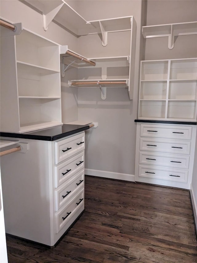 spacious closet featuring dark hardwood / wood-style flooring