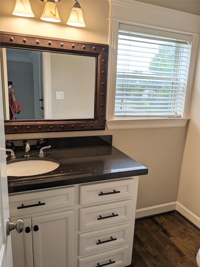 bathroom featuring vanity, hardwood / wood-style floors, and a wealth of natural light