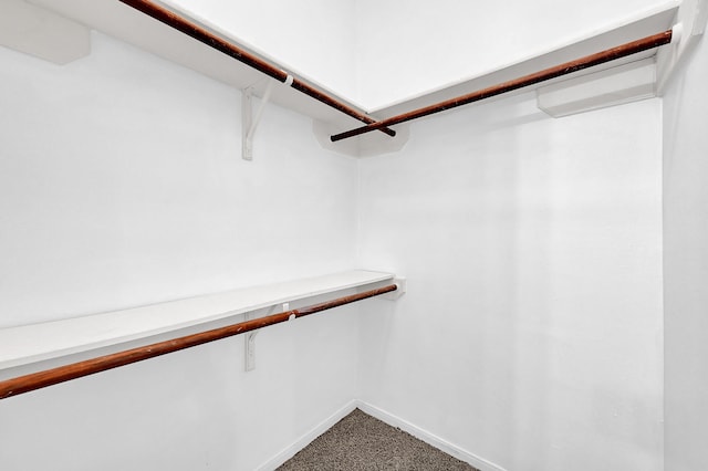 spacious closet featuring carpet flooring