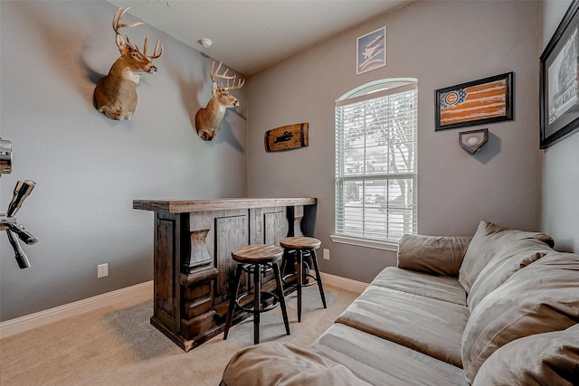 sitting room featuring bar, a healthy amount of sunlight, and light colored carpet