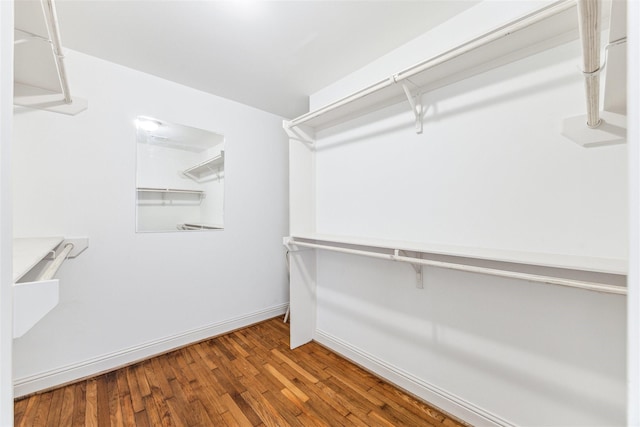 walk in closet featuring wood finished floors