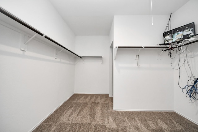 spacious closet with carpet