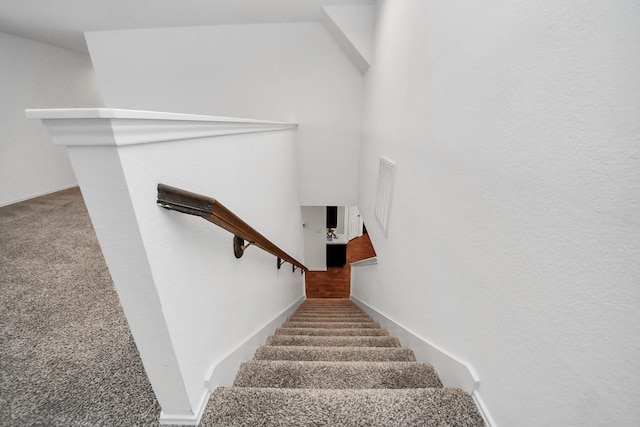 stairway featuring carpet