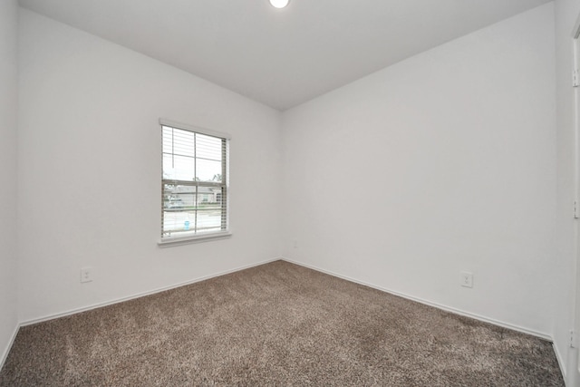 unfurnished room featuring carpet floors