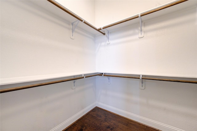 spacious closet with hardwood / wood-style flooring