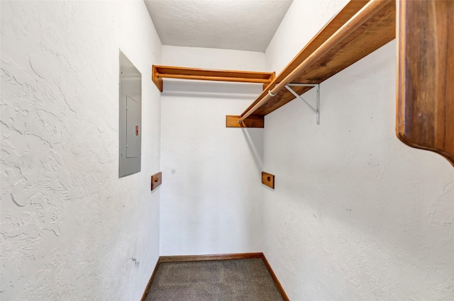40 Pecan Cv, Coldspring, TX 77331 - walk in closet with electric panel and carpet floors