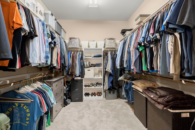 walk in closet featuring carpet flooring