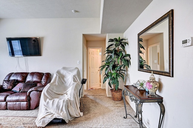 living room featuring carpet