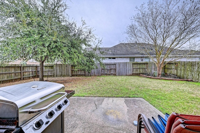 view of yard featuring a patio