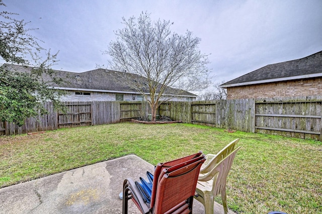 view of yard featuring a patio