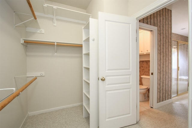 walk in closet with light carpet