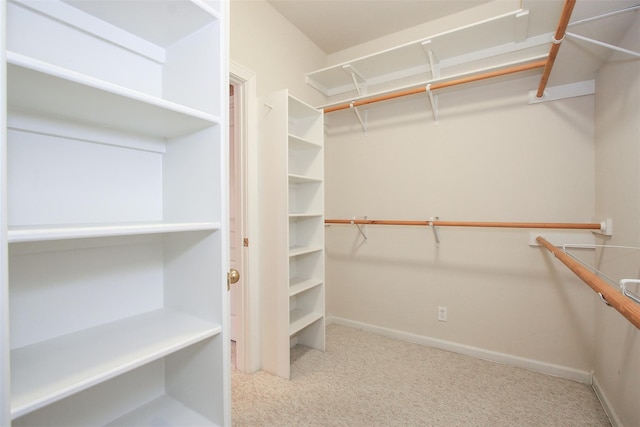 spacious closet with carpet floors