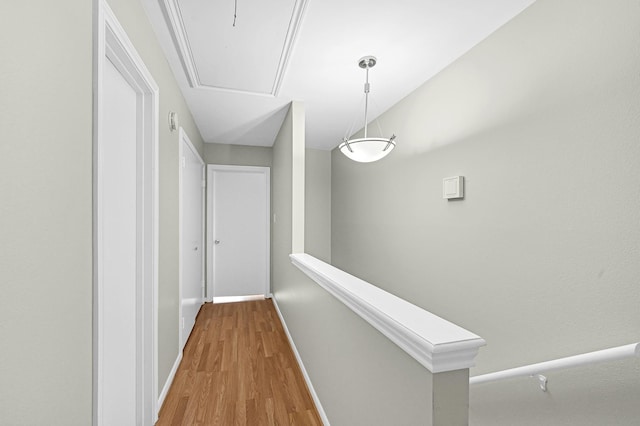 hallway with wood-type flooring