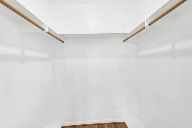 spacious closet featuring wood-type flooring