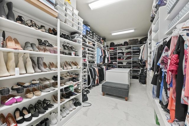 view of walk in closet