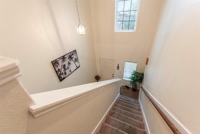 staircase featuring a high ceiling and carpet