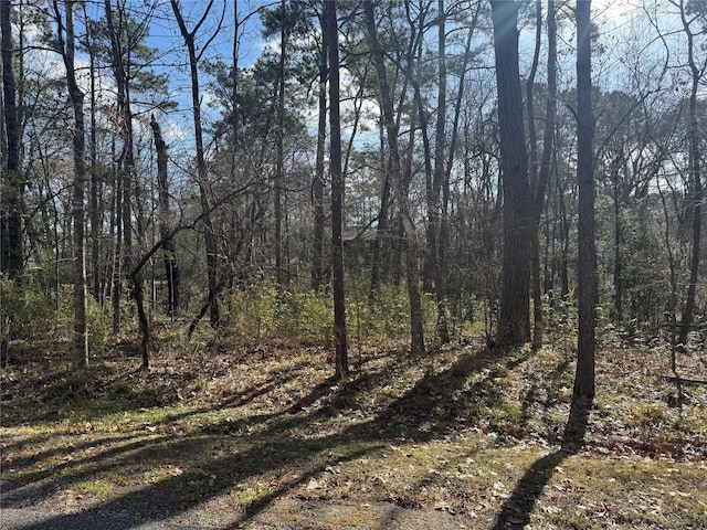 11 S Pine Harbour Dr, Coldspring TX, 77331 land for sale