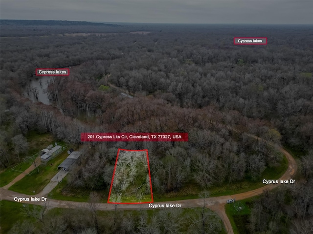 201 Cypress Lakes Cir, Cleveland, TX 77327 - photo 3