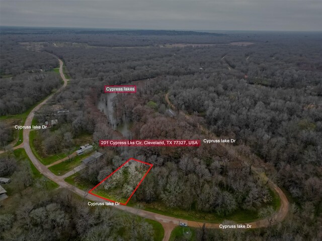 201 Cypress Lakes Cir, Cleveland, TX 77327 - photo 5