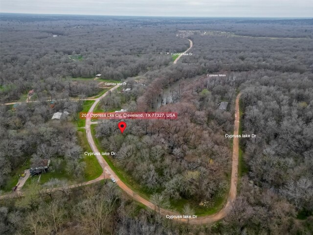 201 Cypress Lakes Cir, Cleveland, TX 77327 - photo 6