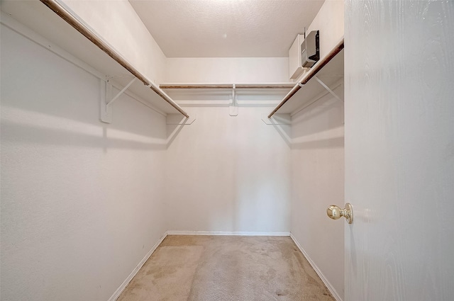 walk in closet featuring light carpet