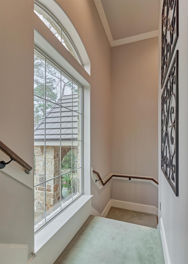 empty room featuring light carpet, baseboards, and crown molding