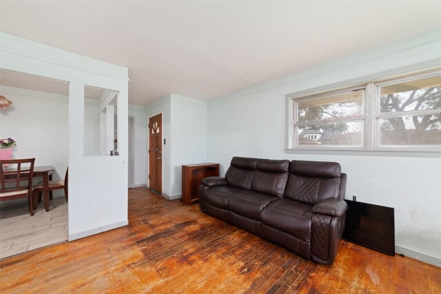 living room with hardwood / wood-style flooring