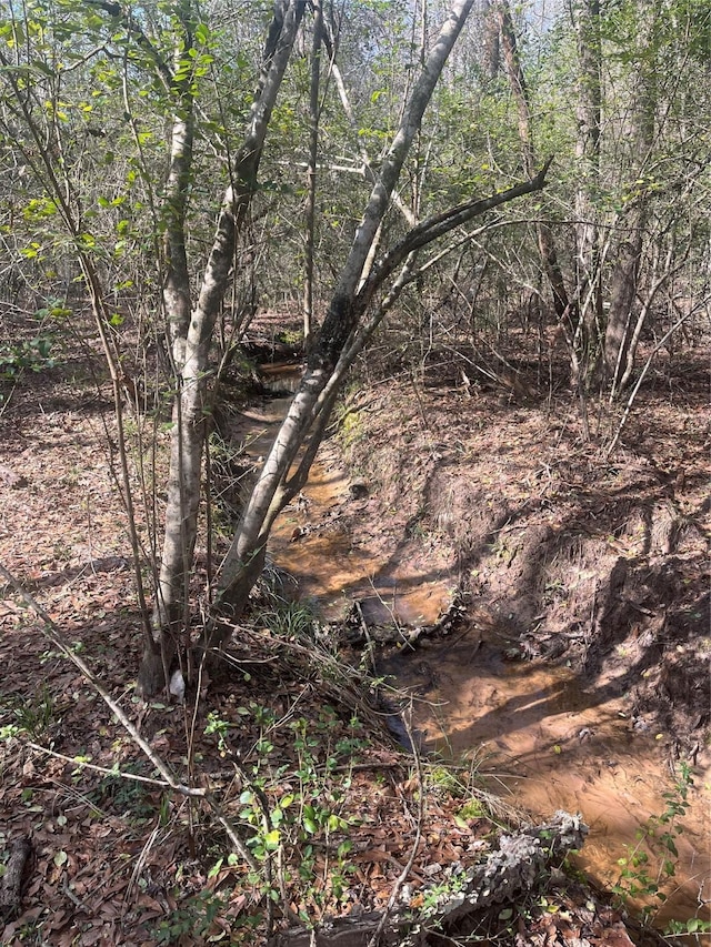 TBD Fm 943, Livingston, TX 77351 - photo 6