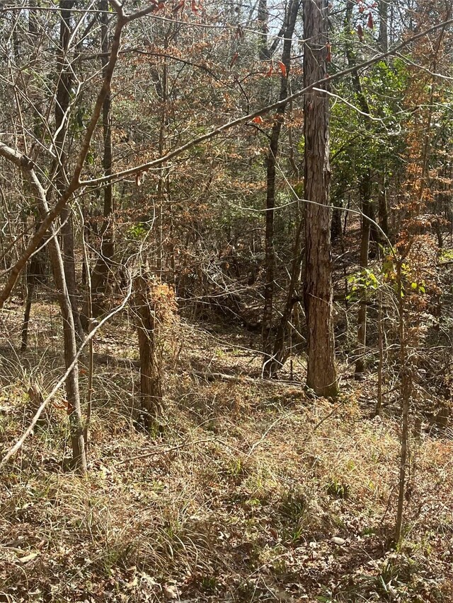 TBD Fm 943, Livingston, TX 77351 - photo 11