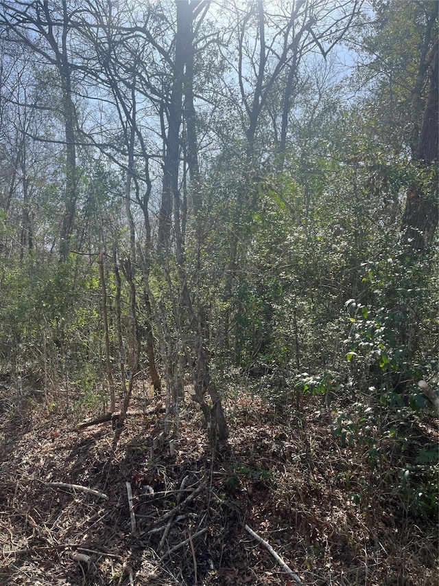 TBD Fm 943, Livingston, TX 77351 - photo 13