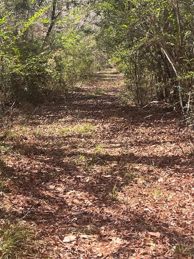 TBD Fm 943, Livingston, TX 77351 - photo 14