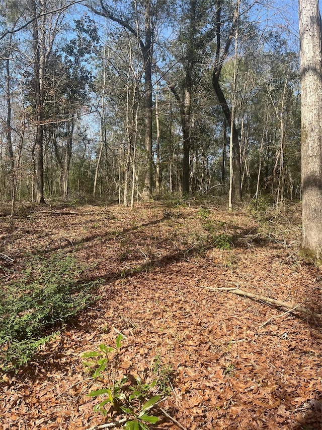 TBD Fm 943, Livingston, TX 77351 - photo 4