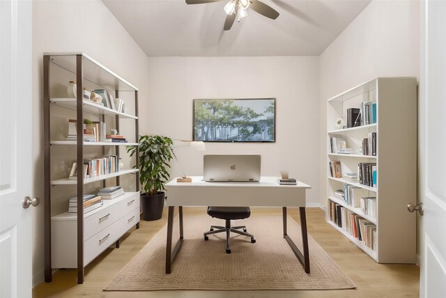 office featuring ceiling fan and light wood-style flooring