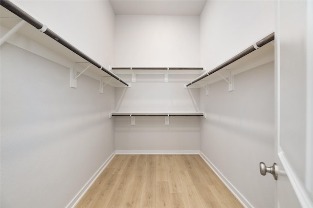 spacious closet featuring light wood-type flooring