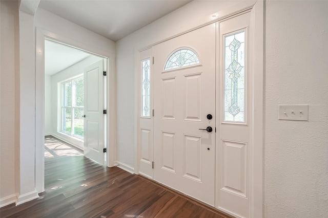 foyer with dark hardwood / wood-style floors