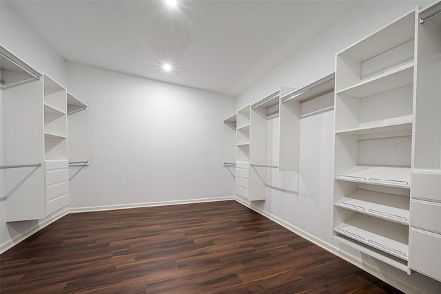 walk in closet with dark hardwood / wood-style flooring