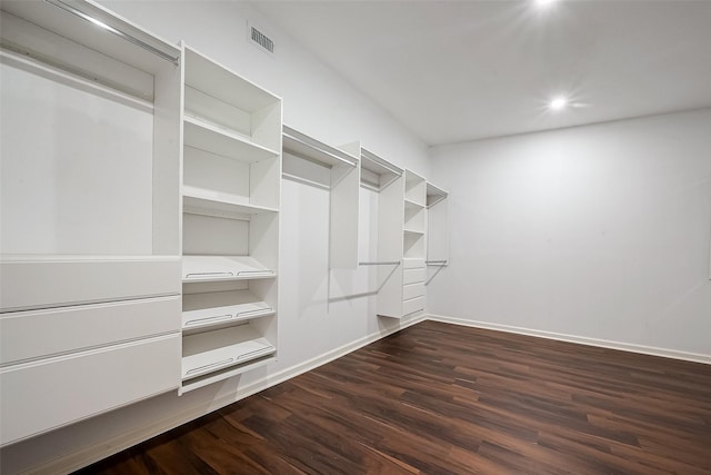 spacious closet with dark wood-type flooring