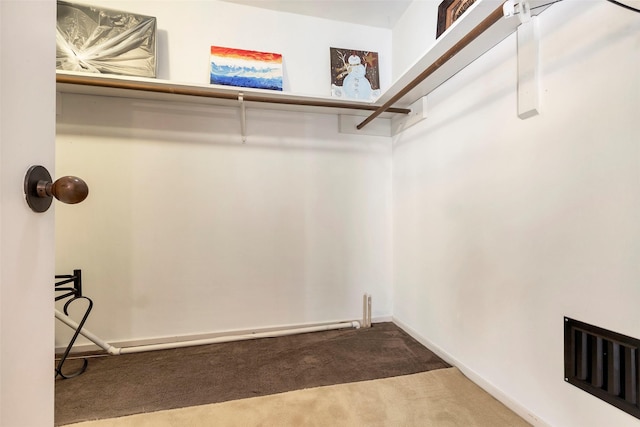 spacious closet with carpet floors