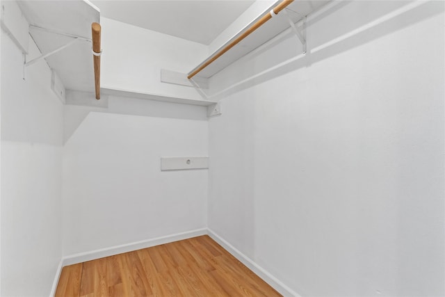 walk in closet with wood-type flooring