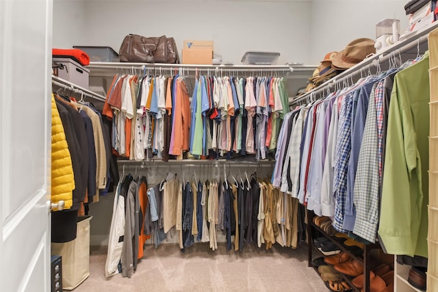 spacious closet featuring carpet floors