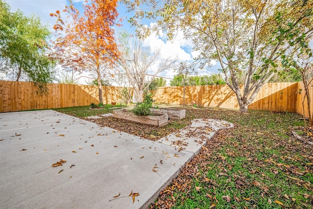 view of yard with a patio