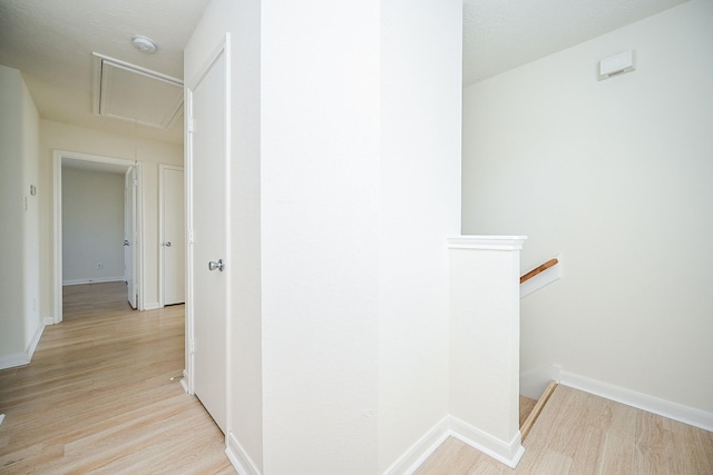 hall featuring light hardwood / wood-style floors