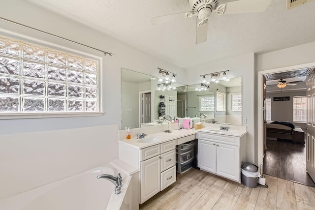 bathroom featuring hardwood / wood-style flooring, plenty of natural light, and vanity