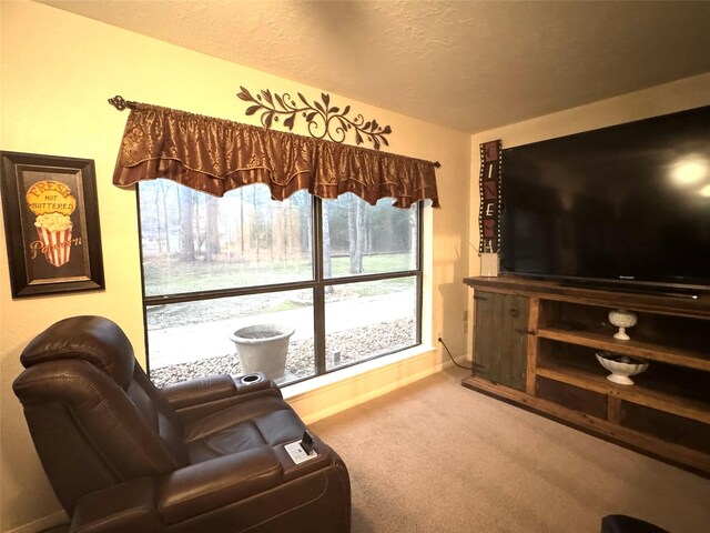 125 Clear Spgs, Trinity, TX 75862 - living room with baseboards, carpet, and a textured ceiling