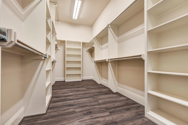 walk in closet with dark wood finished floors