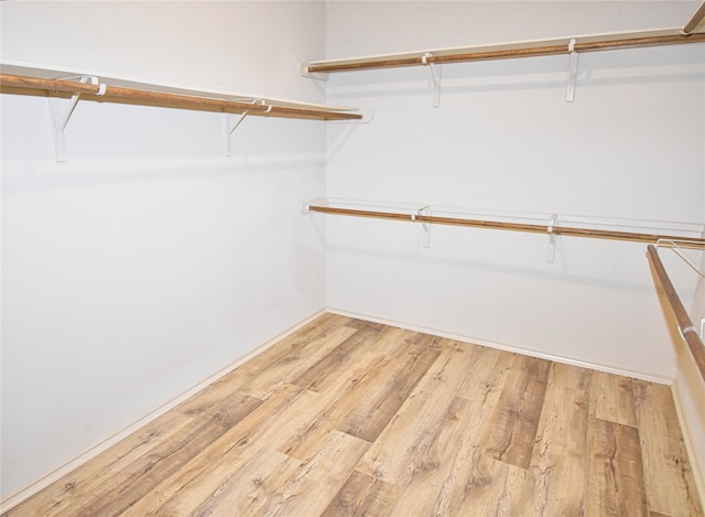 spacious closet featuring light wood-type flooring