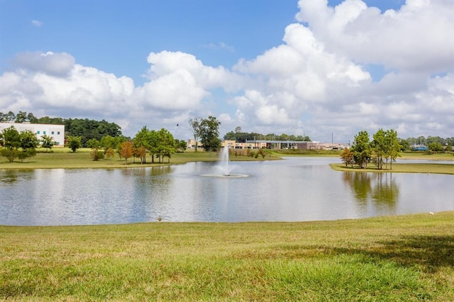 property view of water