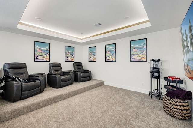 carpeted home theater room featuring a raised ceiling