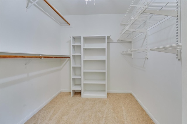 spacious closet with light colored carpet