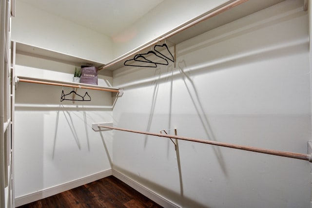 spacious closet with dark wood-type flooring